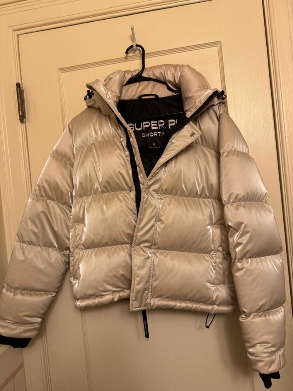 Aritzia TNA Liquid Shine Super Puff